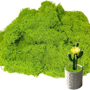 Fake Green Moss,10.6OZ Artificial Moss for Potted Plants,Faux Moss for DIY Crafts,Floral Decor,Wedding Party,Fairy Garden in Saudi Arabia