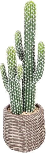 2 Pcs (26 Inch) Artificial Cactus Plant Outdoor, Realistic Fake Cactus Decoration Indoor with Woven Planter, Faux Cacti for Home Office Store Garden Living Room Decoration. in Saudi Arabia