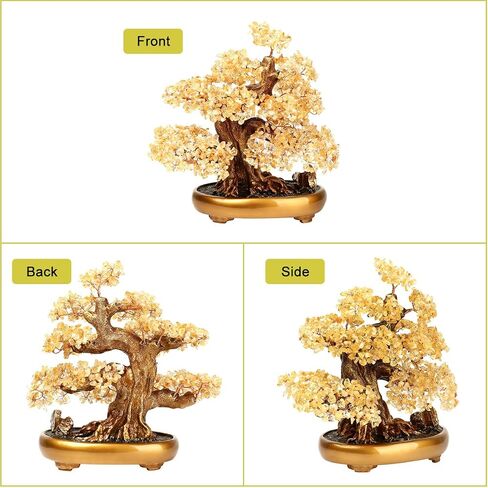 شجرة الحياة الطبيعية (1,251 Gemone UNT) شجرة البكاء ذات الخصائص العلاجية - شجرة المال Bonsai Feng Shui للشفاء والحظ (السترين)، مقاس واحد in Kuwait