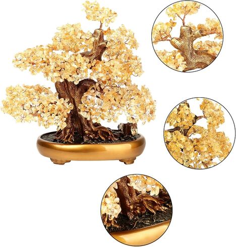 شجرة الحياة الطبيعية (1,251 Gemone UNT) شجرة البكاء ذات الخصائص العلاجية - شجرة المال Bonsai Feng Shui للشفاء والحظ (السترين)، مقاس واحد in Kuwait