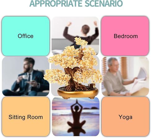 شجرة الحياة الطبيعية (1,251 Gemone UNT) شجرة البكاء ذات الخصائص العلاجية - شجرة المال Bonsai Feng Shui للشفاء والحظ (السترين)، مقاس واحد in Kuwait