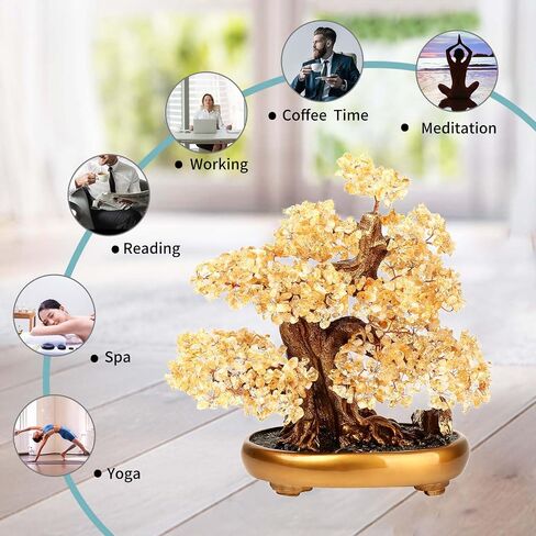 شجرة الحياة الطبيعية (1,251 Gemone UNT) شجرة البكاء ذات الخصائص العلاجية - شجرة المال Bonsai Feng Shui للشفاء والحظ (السترين)، مقاس واحد in Kuwait