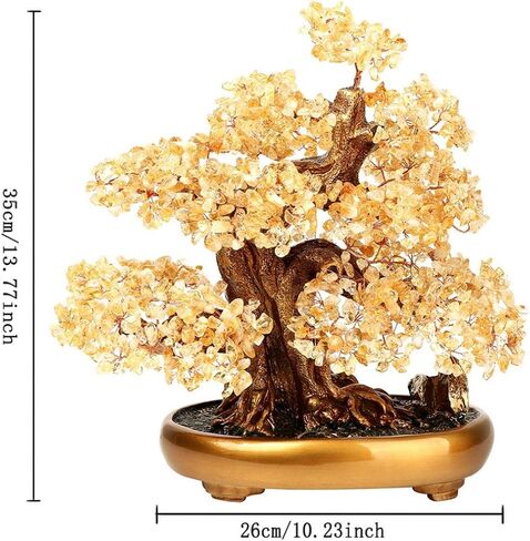 شجرة الحياة الطبيعية (1,251 Gemone UNT) شجرة البكاء ذات الخصائص العلاجية - شجرة المال Bonsai Feng Shui للشفاء والحظ (السترين)، مقاس واحد in Kuwait