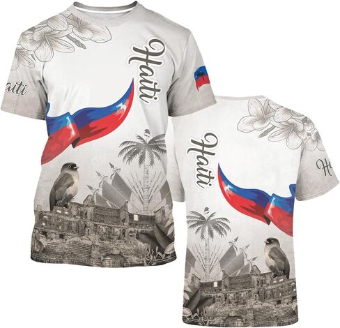 DFZ Haiti Flag T-Shirt for Men Novelty Print Tee Crewneck Casual Short Sleeves Tops Haiti Jersey in Saudi Arabia