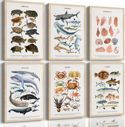 PeuYot Marine Life Wall Art, 6 Pcs Educational Ocean Animal Prints, Unframed Canvas Posters, Vintage Sea Turtle Whale Shark Crab Seashell Fish Wall Decor for Bathroom Bedroom Classroom 8x10in in Kuwait