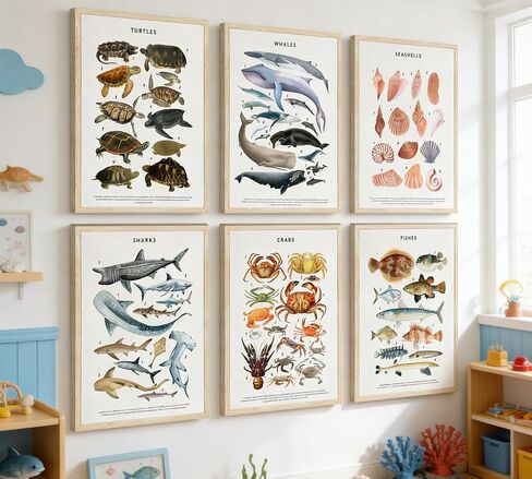 PeuYot Marine Life Wall Art, 6 Pcs Educational Ocean Animal Prints, Unframed Canvas Posters, Vintage Sea Turtle Whale Shark Crab Seashell Fish Wall Decor for Bathroom Bedroom Classroom 8x10in in Kuwait
