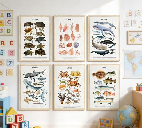 PeuYot Marine Life Wall Art, 6 Pcs Educational Ocean Animal Prints, Unframed Canvas Posters, Vintage Sea Turtle Whale Shark Crab Seashell Fish Wall Decor for Bathroom Bedroom Classroom 8x10in in Kuwait