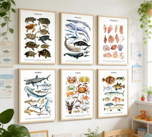 PeuYot Marine Life Wall Art, 6 Pcs Educational Ocean Animal Prints, Unframed Canvas Posters, Vintage Sea Turtle Whale Shark Crab Seashell Fish Wall Decor for Bathroom Bedroom Classroom 8x10in in Kuwait