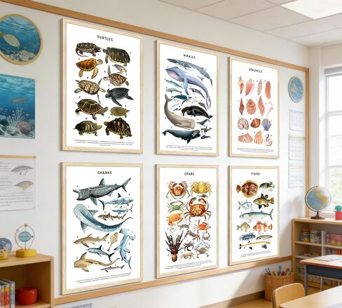 PeuYot Marine Life Wall Art, 6 Pcs Educational Ocean Animal Prints, Unframed Canvas Posters, Vintage Sea Turtle Whale Shark Crab Seashell Fish Wall Decor for Bathroom Bedroom Classroom 8x10in in Kuwait