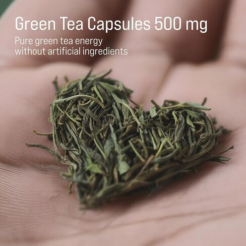 مستخلص الشاي الأخضر (EGCG) 500 مجم - مكمل عشبي مضاد للأكسدة منزوع الكافيين - يدعم عملية التمثيل الغذائي والطاقة والعافية اليومية - 120 كبسولة نباتية، غير معدلة وراثيًا in Kuwait