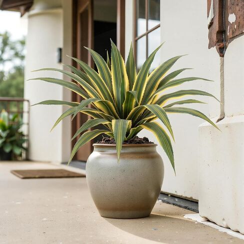 Artificial Agave Plants Outdoor, 24" Large UV Resistant Spiked Fake Agave with 24 Lifelike Leaves, Faux Succulents Plant for Home Front Porch Patio Garden Yard Indoor Decor 1Pack in Kuwait