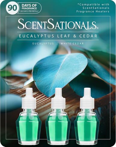 ScentSationals Eucalyptus Leaf & Cedar Fragrance Oil Plug In Air Freshener Refills 3-Pack - Works with Scentsationals Wall Plugs, Long-Lasting Home Fragrance, 0.8 fl oz Each, Packaging May Vary in Kuwait