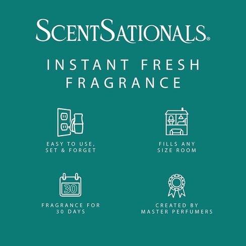 ScentSationals Eucalyptus Leaf & Cedar Fragrance Oil Plug In Air Freshener Refills 3-Pack - Works with Scentsationals Wall Plugs, Long-Lasting Home Fragrance, 0.8 fl oz Each, Packaging May Vary in Kuwait