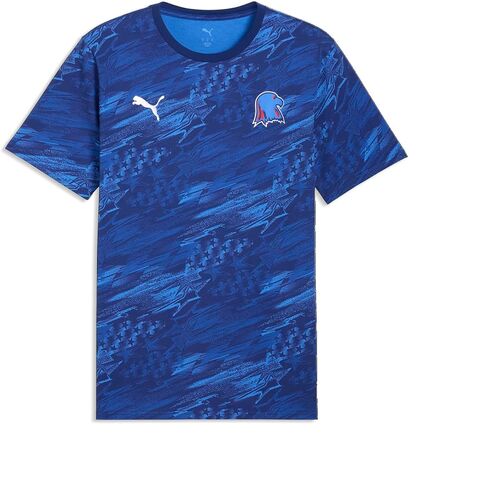 Puma Men's Passion Pack T-Shirt in Kuwait