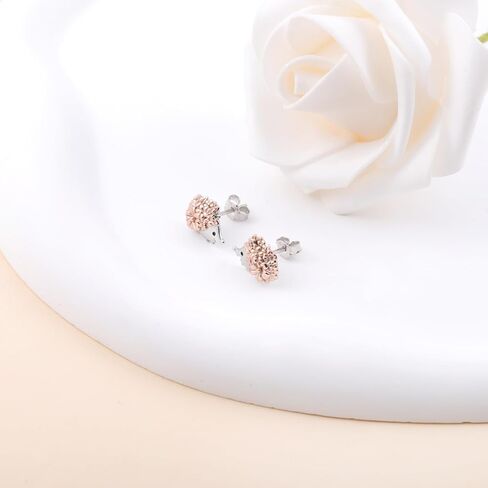 Hedgehog Stud Earrings for Women - 925 Sterling Silver Cute Hedgehog Jewelry Gifts for Hedgehogs Lovers Animal Stud Earring for Birthday in Saudi Arabia