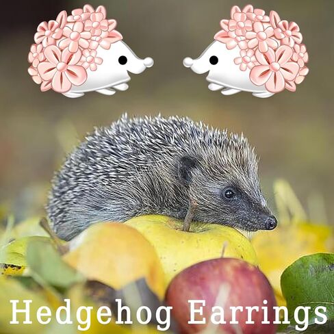 Hedgehog Stud Earrings for Women - 925 Sterling Silver Cute Hedgehog Jewelry Gifts for Hedgehogs Lovers Animal Stud Earring for Birthday in Saudi Arabia