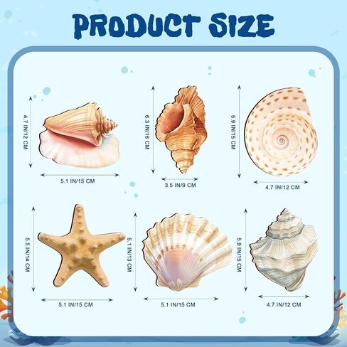Wesiti 6 Pcs Beach Wall Decor Wooden Seashell Starfish Beach Wall Art Ocean Coastal Rustic Wooden Hanging Ornaments for Summer Bedroom Kitchen Living Room Decorations in Kuwait