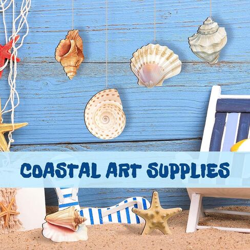 Wesiti 6 Pcs Beach Wall Decor Wooden Seashell Starfish Beach Wall Art Ocean Coastal Rustic Wooden Hanging Ornaments for Summer Bedroom Kitchen Living Room Decorations in Kuwait