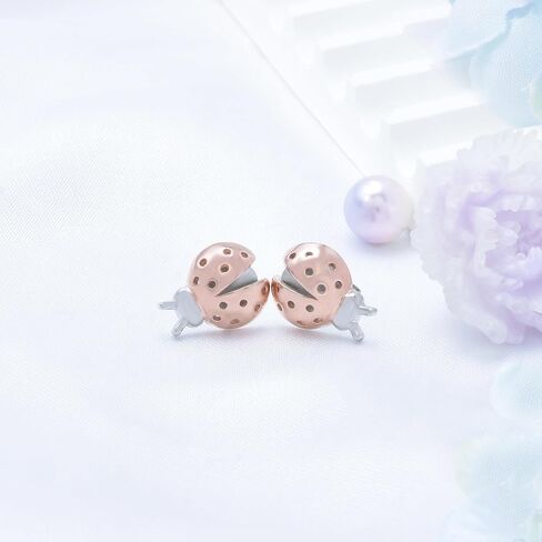 Ladybug Earrings Sterling Silver Ladybug Stud Earrings Cute Hypoallergenic Earrings Tiny Small Dainty Little Ladybird Stud Earrings Animal Jewelry Gifts for Women Daughter Birthday Gifts in Saudi Arabia