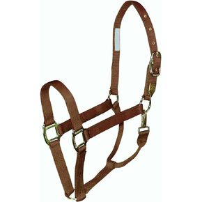 Hamilton 1 Horse Halter with Snap, Small Size (500-800 lbs), Berry
