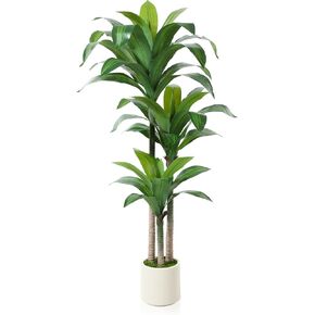 OAKRED Artificial Dracaena Tree 5ft, Tall Fake Dracaena Plants with White Planter, Faux Dragon Tree Indoor Floor Plant for Home Decor Office Living Room Porch Housewarming Gift, 1Pcs