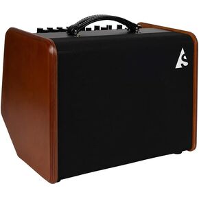 Godin Amplifier Speaker (050154)
