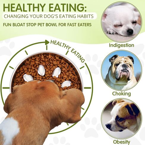 2 Pack Slow Feeder Dog Bowl Stainless Steel Non Slip Metal Slow Feeding Bowl 2 Cups Metal Food Bowls Dog Water Bowl for Dogs, Bloat Stop Pet Bowl for Fast Eaters, Slows Down Pets Eating in Saudi Arabia