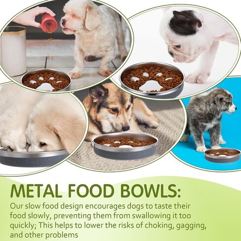 2 Pack Slow Feeder Dog Bowl Stainless Steel Non Slip Metal Slow Feeding Bowl 2 Cups Metal Food Bowls Dog Water Bowl for Dogs, Bloat Stop Pet Bowl for Fast Eaters, Slows Down Pets Eating in Saudi Arabia