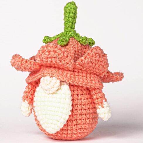 FOGJUOOT Crochet Kit for Beginners Adults Kids DIY Crochet Hook Kit with Step-by-Step Video Tutorials, 3Pcs Complete Crochet Set Includes Yarn, Crochet Starter Kit, Rudolph Faceless Dwarf in Saudi Arabia