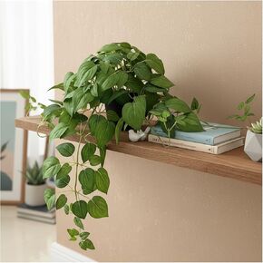 Artificial Pothos Ivy Silk Plants, 2 Sets with Black Pots, 27 Inches Tall, Realistic Fake Hanging Plants for Home Living Room Office Decor, No Maintenance Indoor Faux Plants in Saudi Arabia