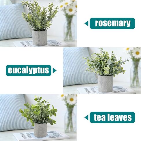 3 Pack Mini Potted Fake Plants, Small Eucalyptus Artificial Plants Indoor Greenery for Shelf Desk Home Bathroom Modern Farmhouse Living Room Coffee Table Decor in Saudi Arabia