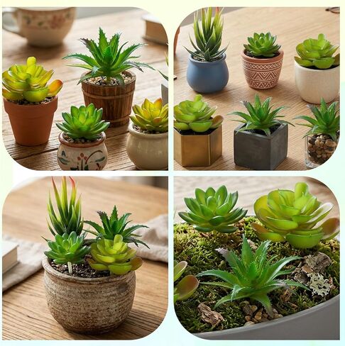 Styquenzer 6 PCS Fake Succulent Plants, Artificial Succulents Plant Mini Fake Succulents Plant Green Succulent Plants for DIY Crafting Home Floral Wall Office Decoration (Excluding Pots) in Kuwait