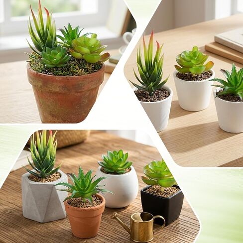 Styquenzer 6 PCS Fake Succulent Plants, Artificial Succulents Plant Mini Fake Succulents Plant Green Succulent Plants for DIY Crafting Home Floral Wall Office Decoration (Excluding Pots) in Kuwait