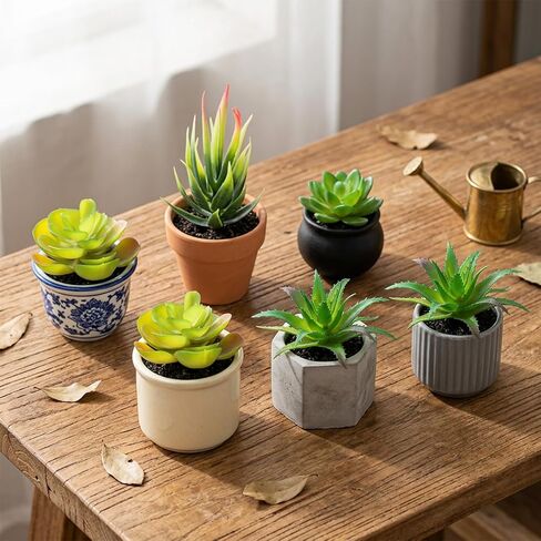 Styquenzer 6 PCS Fake Succulent Plants, Artificial Succulents Plant Mini Fake Succulents Plant Green Succulent Plants for DIY Crafting Home Floral Wall Office Decoration (Excluding Pots) in Kuwait