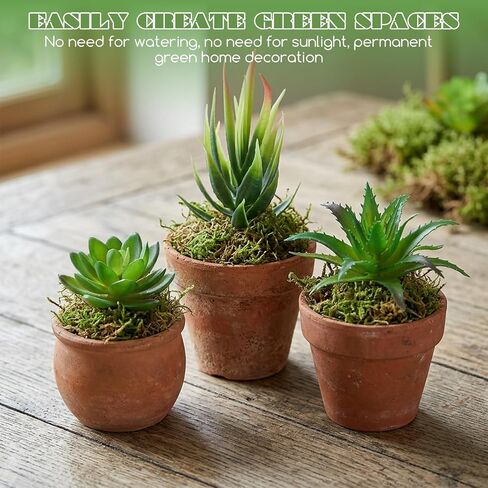 Styquenzer 6 PCS Fake Succulent Plants, Artificial Succulents Plant Mini Fake Succulents Plant Green Succulent Plants for DIY Crafting Home Floral Wall Office Decoration (Excluding Pots) in Kuwait