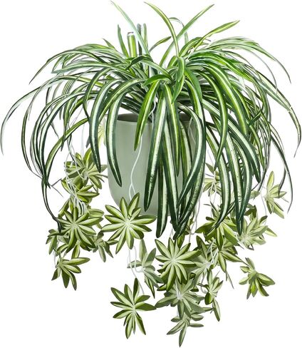 Hotop 4 Pcs Artificial Spider Plant 24 Inch Large Fake Hanging Greenery Plants Silk Faux Chlorophytum Comosum Artificial Flowers for Indoor Outdoor Wall Home Garden Backyard Office Wedding Decor in Kuwait