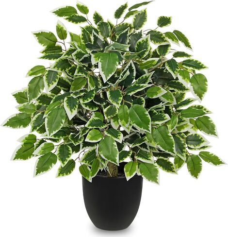 GnFlus Fake Plant 19.6'' Small Artificial Plants Indoor Ficus Fake Potted Plant with 28 Branches Faux Tropical Silk Plants for Home Living Room Desk Office Table Kitchen Counter Shelf Décor in Kuwait