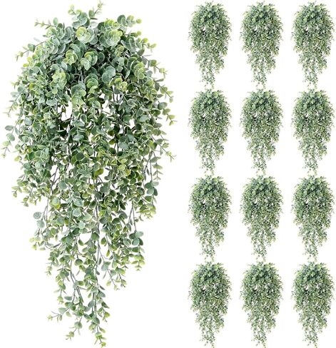 zeyune 6 حزمة نباتات الأوكالبتوس المعلقة الاصطناعية، أوراق الأوكالبتوس الخضراء وهمية، ديكور نبات اللبلاب بوهو لحفل الزفاف، خلفية دش الزفاف الحمام مكتب المنزل مكتب الجدار الداخلي (مرشوشة باللون الأبيض) in Kuwait