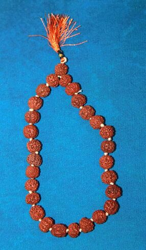 Rudraksha Sumarni Mala Knotted 8 MM, 27+1 Beads Wrist Mala | Rudraksha Prayer Beads Japa Bracelet for Meditation and Spiritual Practice in Kuwait