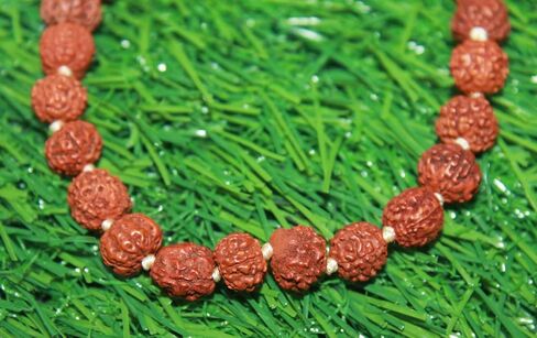 Rudraksha Sumarni Mala Knotted 8 MM, 27+1 Beads Wrist Mala | Rudraksha Prayer Beads Japa Bracelet for Meditation and Spiritual Practice in Kuwait
