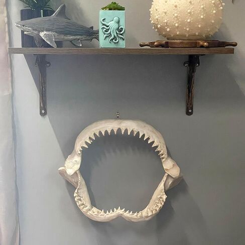 Zeckos Replica Shark Jaw 15.5 Inch Resin Wall Sculpture, Realistic Off-White Shark Jaws Coastal Nautical Wall Decor for Beach House Bathroom, Office, Man Cave or Ocean-Themed Bedroom Walls in Saudi Arabia