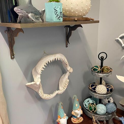 Zeckos Replica Shark Jaw 15.5 Inch Resin Wall Sculpture, Realistic Off-White Shark Jaws Coastal Nautical Wall Decor for Beach House Bathroom, Office, Man Cave or Ocean-Themed Bedroom Walls in Saudi Arabia