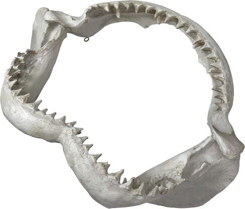 Zeckos Replica Shark Jaw 15.5 Inch Resin Wall Sculpture, Realistic Off-White Shark Jaws Coastal Nautical Wall Decor for Beach House Bathroom, Office, Man Cave or Ocean-Themed Bedroom Walls in Saudi Arabia