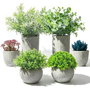 6 Pack Small Fake Plants, Artificial Plants Indoor Eucalyptus/Four-Leaf Clover/Succulent Light Purple/Succulent Blue/Thousand Layer Grass, Snake Tongue Grass Plants, For Home Bathroom Office Decor in Saudi Arabia
