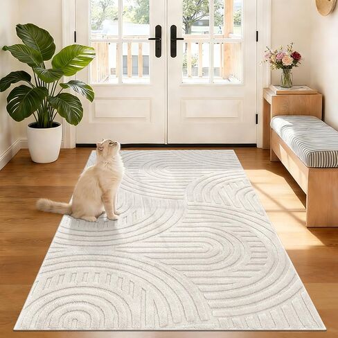 Pauwer Area Rugs for Living Room 5x7, Non Slip Machine Washable Boho Neutral Modern Rug, Soft Fluffy Carpet for Bedroom Dining Room Nursery Office Indoor Farmhouse, Beige in Saudi Arabia