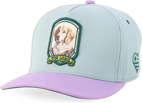 متجر الملابس العصرية لطيف الكلب تصميم مطرز 5 لوحة 2 لهجة قبعة Snapback in Kuwait