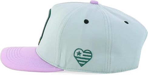 متجر الملابس العصرية لطيف الكلب تصميم مطرز 5 لوحة 2 لهجة قبعة Snapback in Kuwait