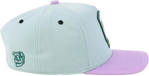 متجر الملابس العصرية لطيف الكلب تصميم مطرز 5 لوحة 2 لهجة قبعة Snapback in Kuwait