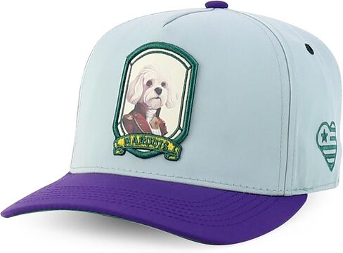 متجر الملابس العصرية لطيف الكلب تصميم مطرز 5 لوحة 2 لهجة قبعة Snapback in Kuwait