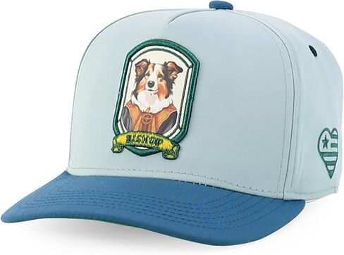 متجر الملابس العصرية لطيف الكلب تصميم مطرز 5 لوحة 2 لهجة قبعة Snapback in Kuwait